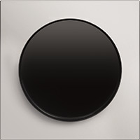 Berker R.3, Рамка: нержавеющая сталь. Вставка: черный