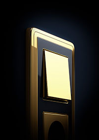 Блок: выключатель и розетка Gira Classix. Рамка: латунь/черный. Клавиша: латунь