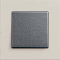 GIRA, Esprit, Цвет: Светло-серый Linoleum-Multiplex / Антрацит