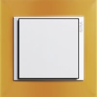 Gira Event Opaque. Цвет рамки: Янтарный; Цвет вставки: Белый глянцевый; Цвет клавиши: Белый матовый