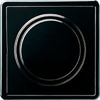 Gira, S-Color, Цвет: Черный