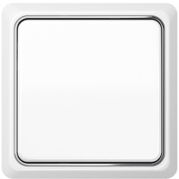 JUNG, CD plus, Цвет: Белый / Полированный хром