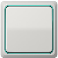 JUNG, CD plus, Цвет: Светло-серый / Салатовый