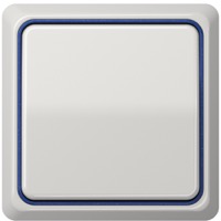 JUNG, CD plus, Цвет: Светло-серый / Синий металлик