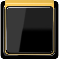 JUNG, CD plus, Цвет: Черный / Желтый