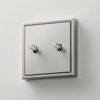 JUNG, LS 1912, тумблер в форме цилиндра, Цвет: Алюминий