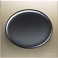 Niessen ABB, Tacto, Цвет: Шампань