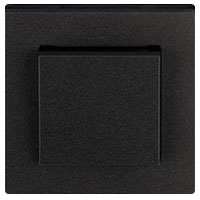 ABB, Levit, Цвет: Антрацит / Дымчатый черный