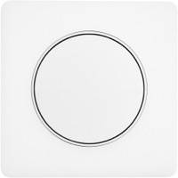 Scheider Electric, Odace, Цвет: Прозрачный белый