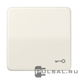 Клавиша "Ключ"
CD ударопрочная,  одноклавишный,  без подсветки,   цвет - слоновая кость,  пластмасса,  CD590BFT,  CD 590 BFT,  JUNG
 - PULSAL.RU