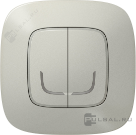 Умный беспроводной выключатель двухклавишный
Netatmo,  Valena Allure,   цвет - алюминий,  пластмасса,  752787,  7 527 87,  Legrand
 - PULSAL.RU