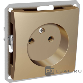 Розетка
Дуэт,  без шторок,  без заземления,  одинарная,  винтовые клеммы,   цвет - шампань,  пластмасса,  WDE000441,  Schneider Electric
 - PULSAL.RU