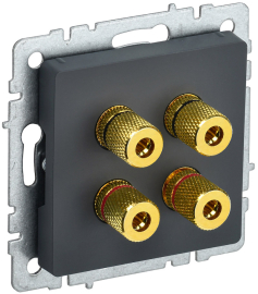 Розетка акустическая
BRITE,  2 пары,   цвет - графит,  пластмасса,  BR-S40-K53,  IEK
 - PULSAL.RU