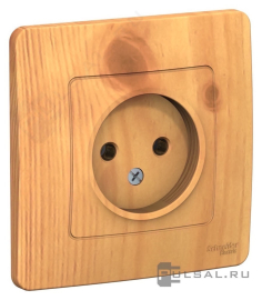Розетка с рамкой
Blanca,  без шторок,  без заземления,  одинарная,   цвет - ясень,  пластмасса,  BLNRS000015,  Schneider Electric
 - PULSAL.RU