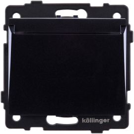 Карточный выключатель
Aspekt,  Eleganz,  Reflex,  без подсветки,  пластмасса,  REA-041BK,  Kollinger
 - PULSAL.RU