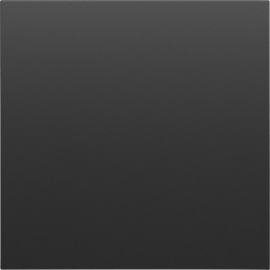 Накладка заглушки
S08,   цвет - черный графит,  пластмасса,  DS26857,  Donel
 - PULSAL.RU